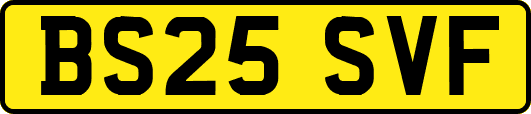 BS25SVF