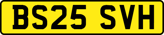 BS25SVH