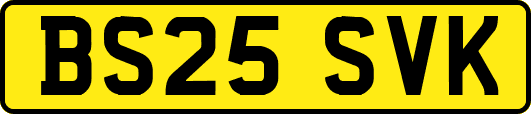 BS25SVK