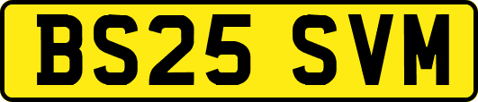 BS25SVM