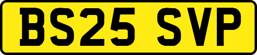 BS25SVP