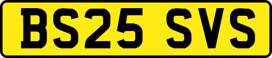 BS25SVS