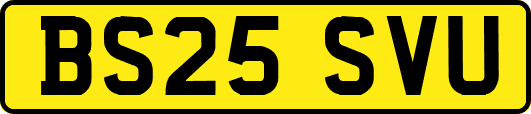 BS25SVU