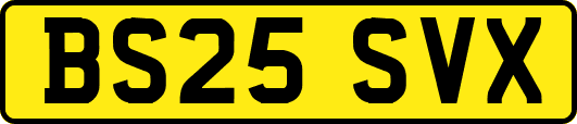 BS25SVX