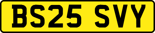 BS25SVY