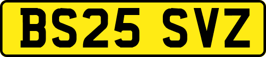 BS25SVZ