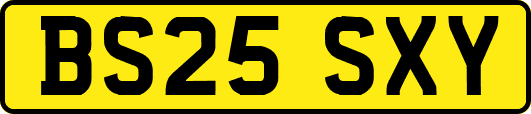 BS25SXY