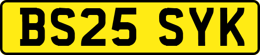BS25SYK