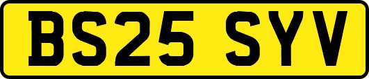 BS25SYV