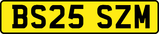 BS25SZM