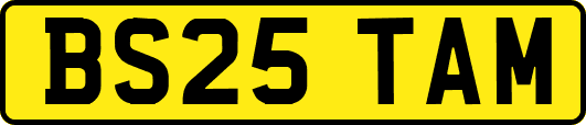 BS25TAM