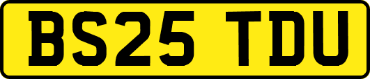 BS25TDU