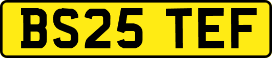BS25TEF