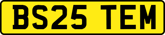 BS25TEM