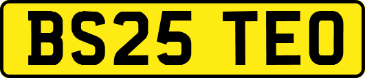 BS25TEO