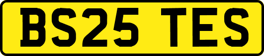 BS25TES