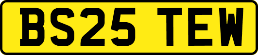 BS25TEW