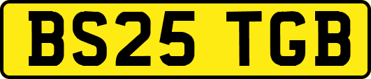 BS25TGB