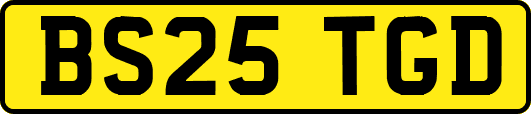BS25TGD