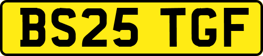 BS25TGF