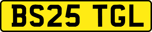 BS25TGL