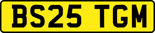 BS25TGM