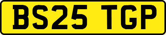 BS25TGP