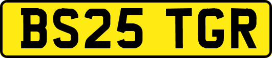 BS25TGR