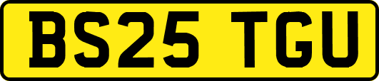 BS25TGU
