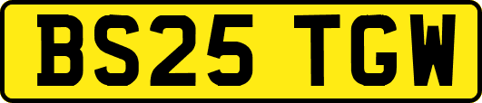 BS25TGW
