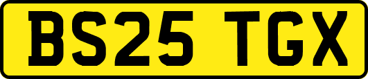 BS25TGX