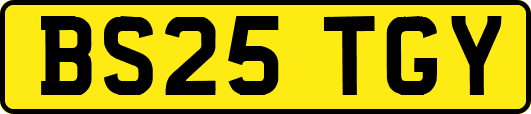 BS25TGY