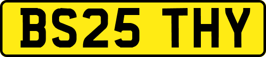 BS25THY