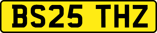 BS25THZ