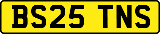 BS25TNS