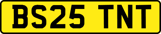 BS25TNT