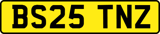 BS25TNZ
