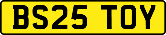 BS25TOY