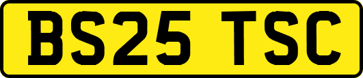 BS25TSC