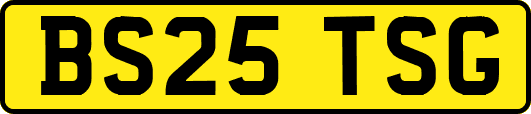 BS25TSG