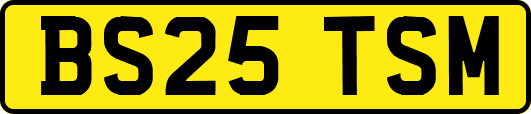 BS25TSM