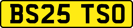 BS25TSO