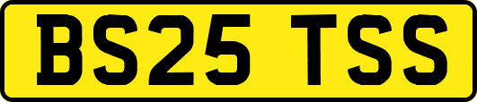 BS25TSS