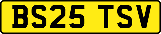 BS25TSV