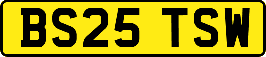BS25TSW
