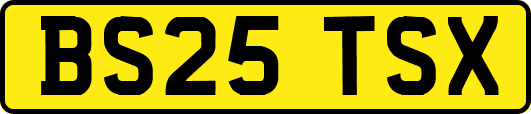 BS25TSX