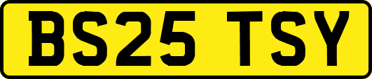 BS25TSY