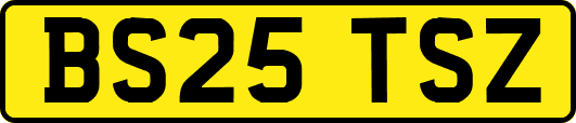 BS25TSZ