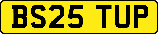 BS25TUP