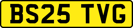 BS25TVG